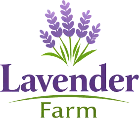 Lavender Farm